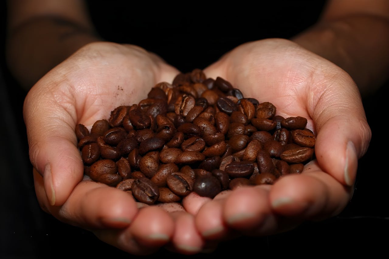 Close-up of hands holding fresh brown coffee beans against a dark background.