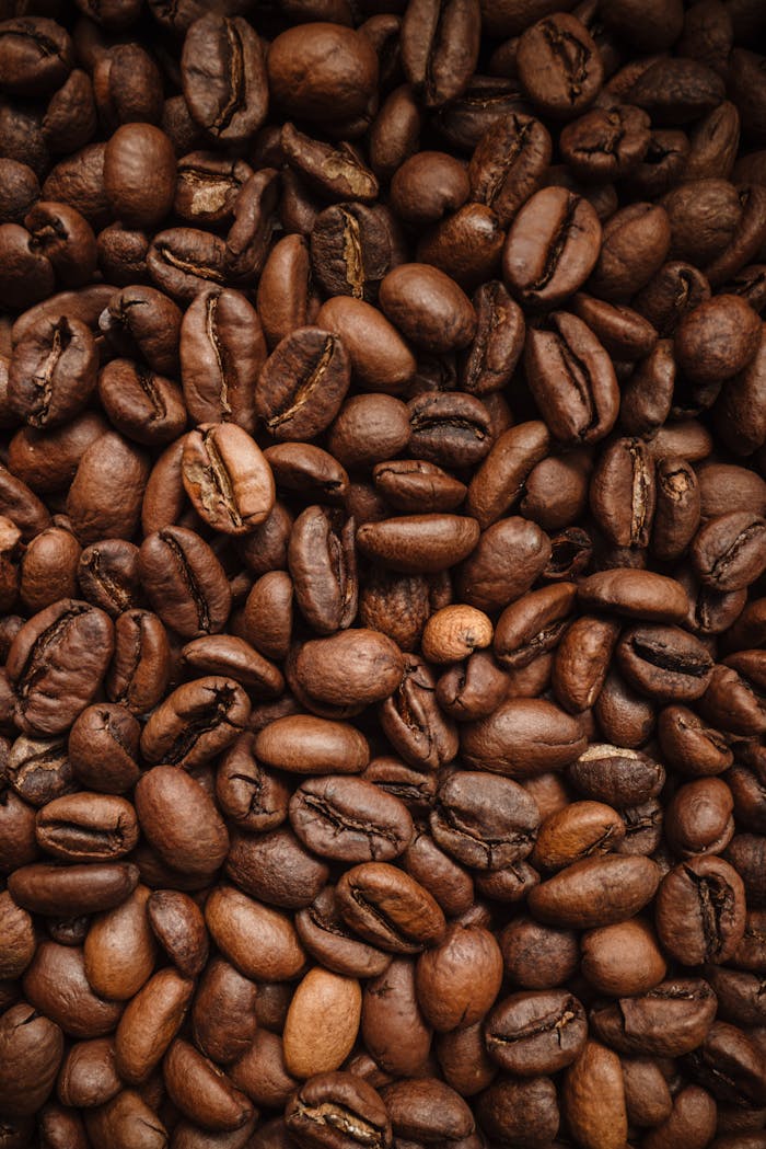A detailed close-up of roasted coffee beans filling the frame, perfect for food and beverage themes.